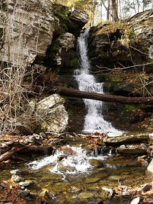 PA290255.JPG (68146 bytes)