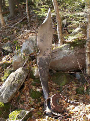 PA300285.JPG (68064 bytes)