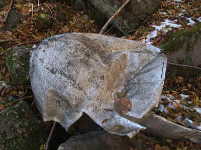 PA300301.JPG (53533 bytes)