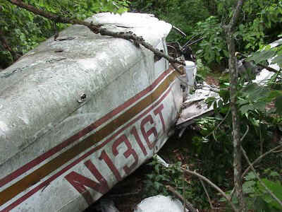 4254_400.jpg (69953 bytes)