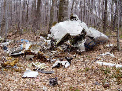 P4100008.jpg (83279 bytes)