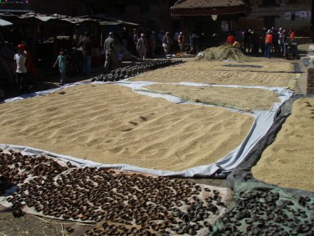 Pottery Square