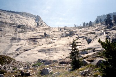 Sierra02-07-19.jpg (37102 bytes)