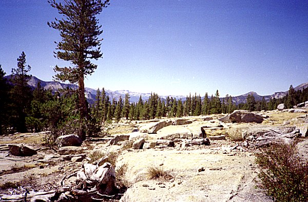 s90-6-00.jpg (95360 bytes)