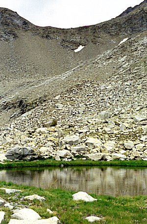 s94-3-19.jpg (65956 bytes)