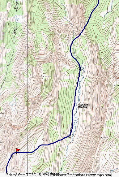 Sierra98-M5.gif (310750 bytes)