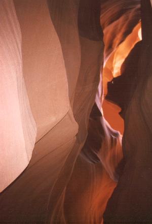 antelope -- sandy sellick
