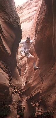 peekaboo -- sandy sellick