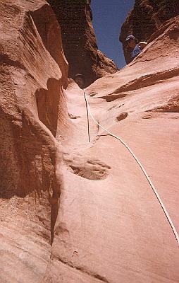 peekaboo entrance -- sandy sellick