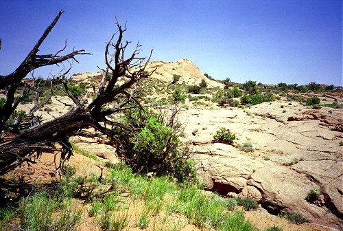 Top of Coyote Gulch