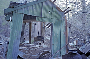 Williamson99-1-23.jpg (60168 bytes)