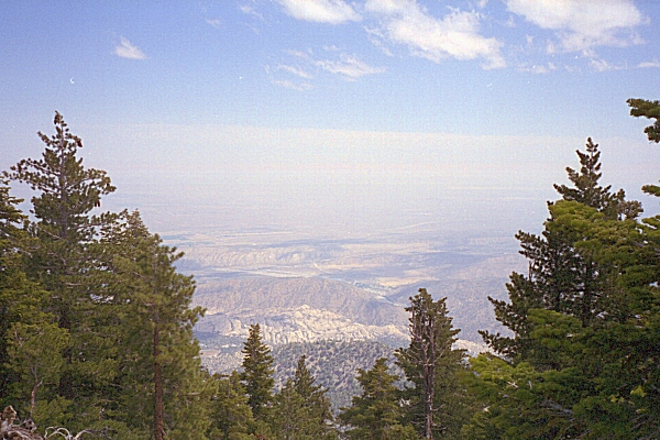 Williamson99-2-04.jpg (217396 bytes)