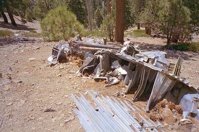 Williamson99-2-10.jpg (113922 bytes)