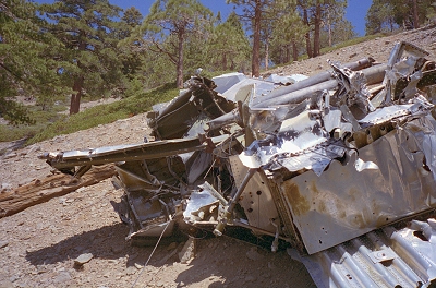 Williamson99-2-11.jpg (108235 bytes)